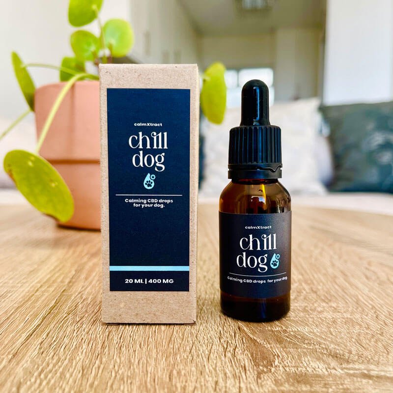 Chill Dog CBD oil for dogs with stress, separation anxiety, or travel issues