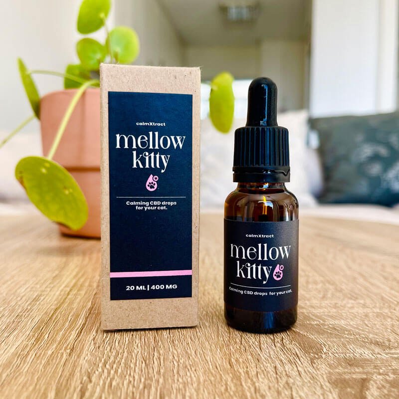 Mellow Kitty CBD oil for cats with anxiety or stress – made in South Africa